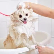 AAAAAAAAAAAA