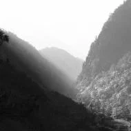 Photography Tips